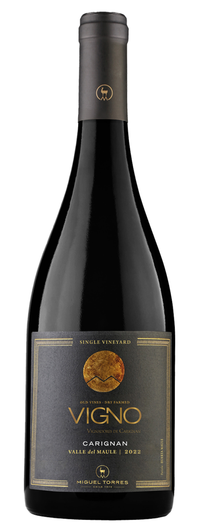 Vigno Carignan